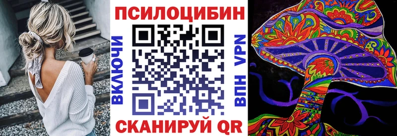 Псилоцибиновые грибы Psilocybe Сольвычегодск