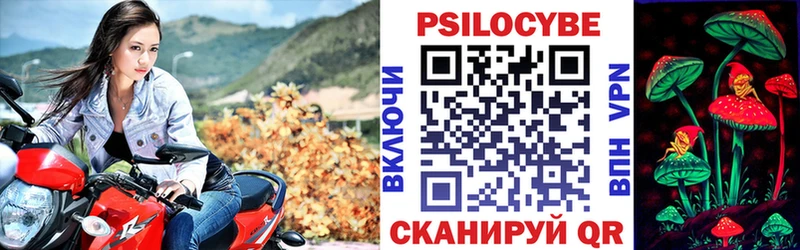 как найти закладки  Сольвычегодск  Псилоцибиновые грибы Psilocybe 