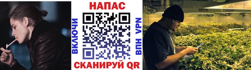 МАРИХУАНА AK-47  hydra как войти  Сольвычегодск 